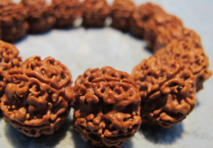  ��ʵ������������Ҫ�ľ�������