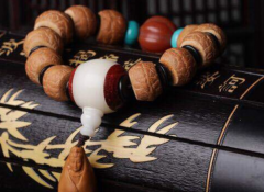 �ش�����еġ����ᡱָ�ľ��Ƿ�������