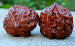 ����������ĵ�����Ϊ��Ҫ