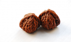 ��������̵Ĳ����죿����ѧϰ�°ɣ�