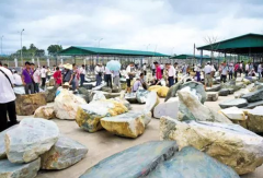 ��鹫���ϡ��Ĵ��桱���������˴��ƣ�