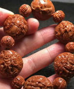 ��魺˵���Ϊʲô�г�������������������