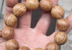  ���� �������� 1.���ϣ�ָ������ͷ���ٰ������ϵ�ľ��