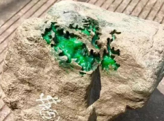 Ϊʲô˵����ɫ���׶����ѡ���������顰�����ѡ���֪����