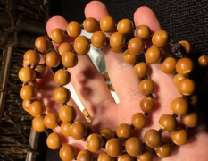 ��魺˼���Բ�����������������˵�Ѫ�ͺ�