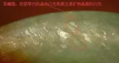 ���ǳ��������������ļ����ʣ������ԡ�������Ӭ�ᡱ... ��һЩ���������ٵĹ�����