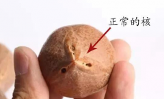 ����ƷҲ������ʲô�ü�Ǯ