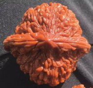  ������һ�������ǵĴ浵��Ƭ