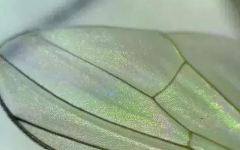 ��û�в�Ӭ������ͳͳ���Ǽٻ�������Ҫ�ٱ�ƭ�ˣ�