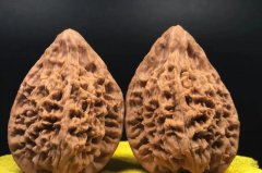 ��ʱ������׷����ҳߴ�󡢴��Ϊ��