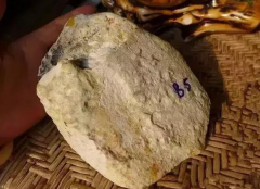  ����С���������ҷ���һ����Ȥ��С����