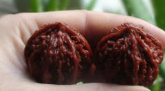 <b>�ڰ����ͻ��γɻҳ���������֬���֮��ġ����ࡱ</b>