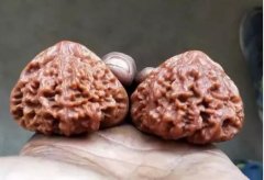 ������ҡ���ʽ��������������ѣ�