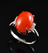  ���ʯ���ޣ��ްס��޽�����