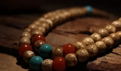 �ع���������������ǵ���������