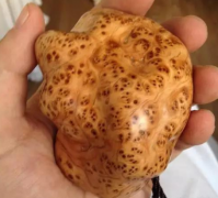  3�������׹� ���������Ͼ��ܺ������ĵ�֪�Ѽ��ı��汻�׳��羵��Ĺ���