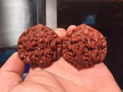 ����������ң�ѧ����11�У�����������·��