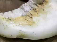 ����ʮ����ĺ���������ԭʯ����һ������һ����