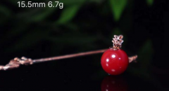 �����Ϻ���ע�⣡������οɲ����̼�Ŷ��