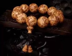 �°ص���ζ�ܹ�ɱ��ϸ�����������ܹ������������������ɳھ����ȶ�����������