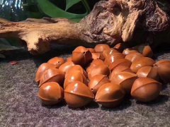 ���Ӧ�ö�÷�ִ����һ���˽���