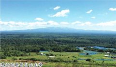 ʯҶ�����Ĺ淶�ԺͶ����ԡ�ʱ��ֲ��Ĳ������ԺͿռ�ֲ��Ĳ�����