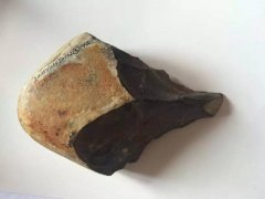 ���г�����һ�Ѿ��µ��й�ԭʯ��