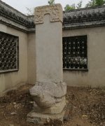��Ӧѧ�������������������Ա���