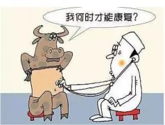 �����ٽ�ţ�ܹյ㣬Ͷ����Ӧ��������Щ׼����