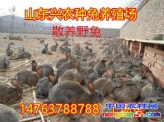 ���ǽ���Զ��������ǵĳ��Ļ�ȡ���ķ�����һԭ��