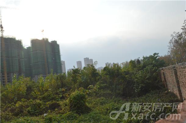 (2018)46号地块实景 (2018)46号地块实景