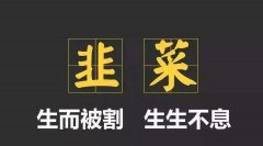 �뵼���豸��ҵ��ȷ������濪�Ź���