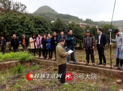 ��ʥ��ʤ���ξ�����Ŀ���̽������ع���