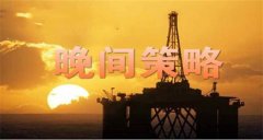 ������г��Ϻܶ����ձ������