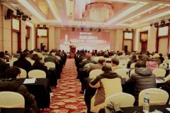 �����������ݷ���2019һ���Ƚ����Ͷ�ʲ��Ա�������