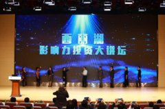 �����Ӱ����Ͷ�ʻ���������