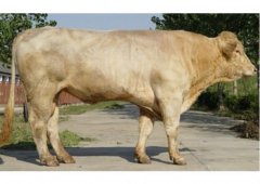 �����������ط�����ţ��